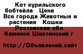 Кот курильского бобтейла › Цена ­ 5 000 - Все города Животные и растения » Кошки   . Ростовская обл.,Каменск-Шахтинский г.